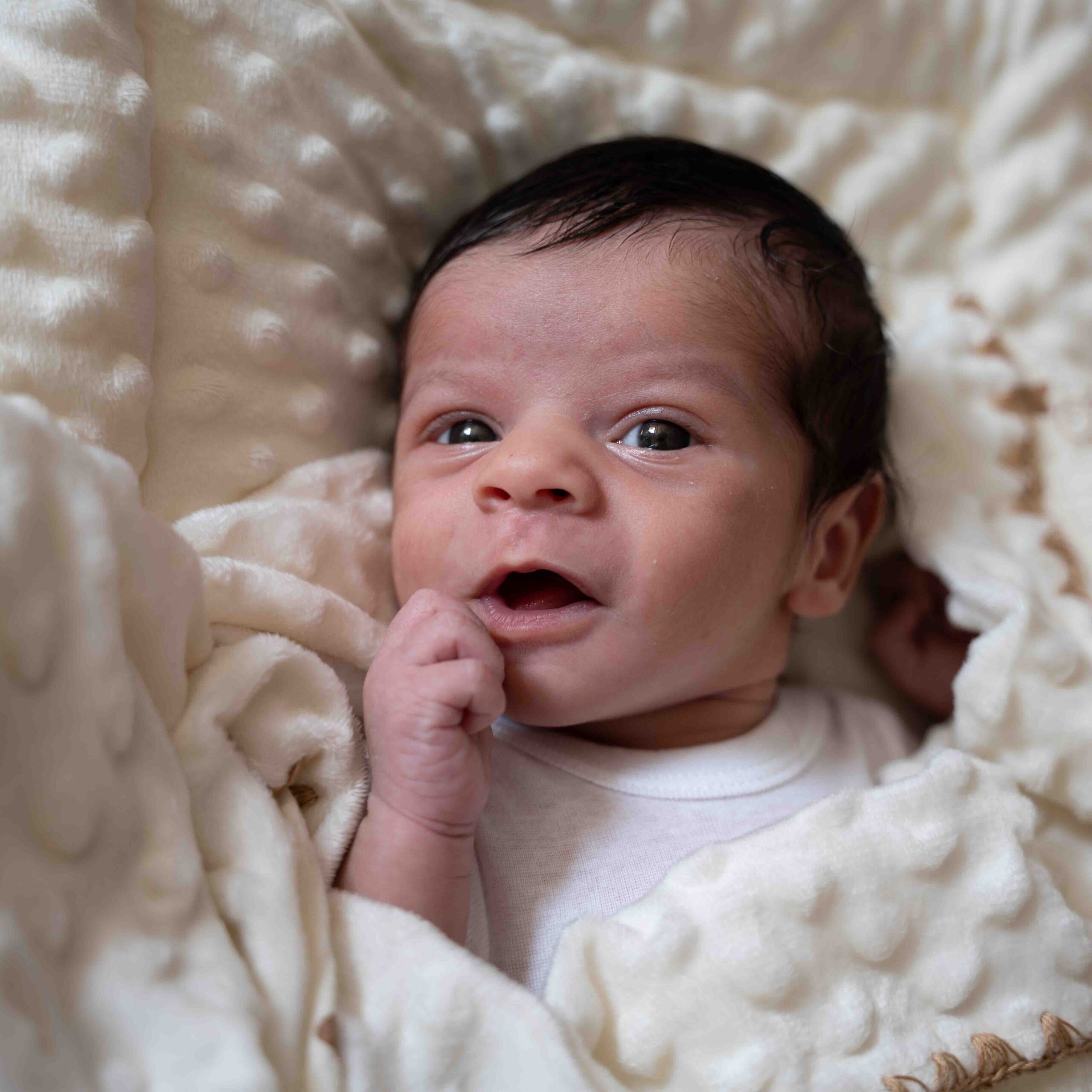 Nouveau-né Florence Leclerc Photographie
