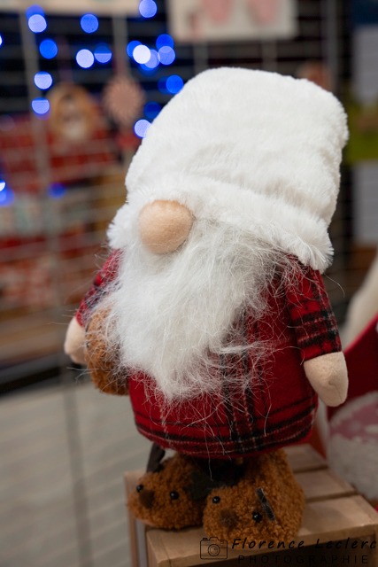 Manifestations Locales Florence Leclerc Photographie