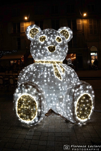 Manifestations Locales Florence Leclerc Photographie